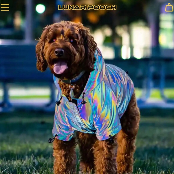 Lunar Pooch reflective dog hoodie - size 6 - iridescent reflective dog coat - Picture 11 of 14